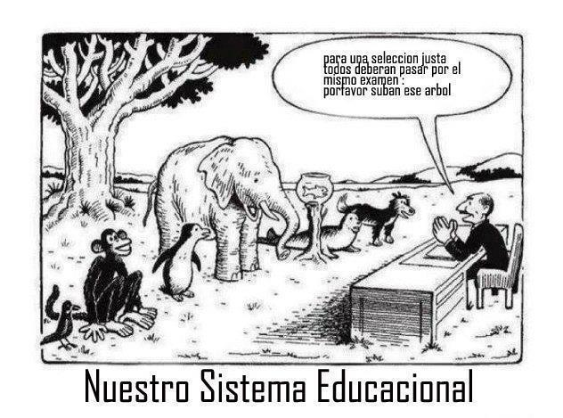 educación