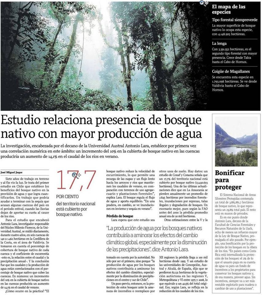 bosque